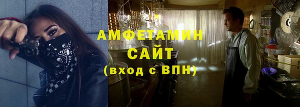 шишки Белокуриха