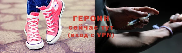 сатива Беломорск