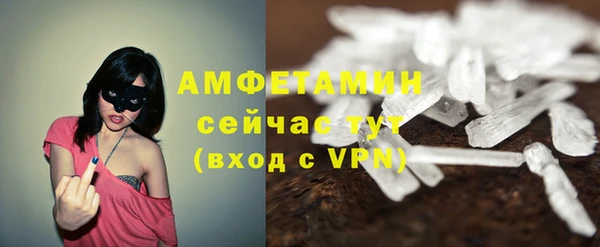 сатива Беломорск