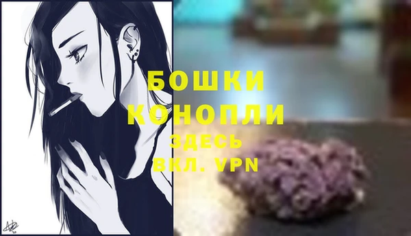 шишки Белокуриха