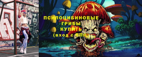 сатива Беломорск