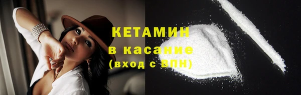 шишки Белокуриха