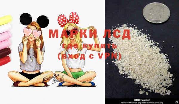 шишки Белокуриха