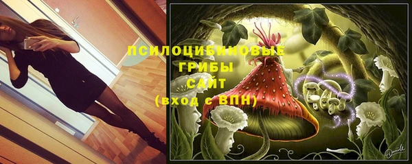 шишки Белокуриха