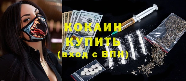 шишки Белокуриха