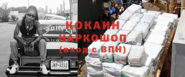 сатива Беломорск
