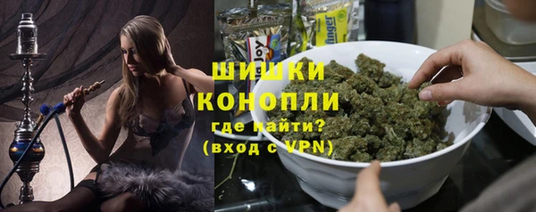 шишки Белокуриха
