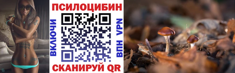 Псилоцибиновые грибы прущие грибы  Тулун 